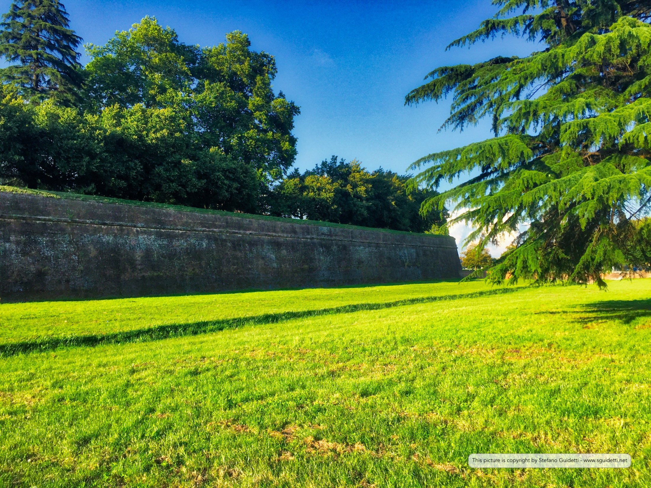 lucca_20160605_IMG_0615