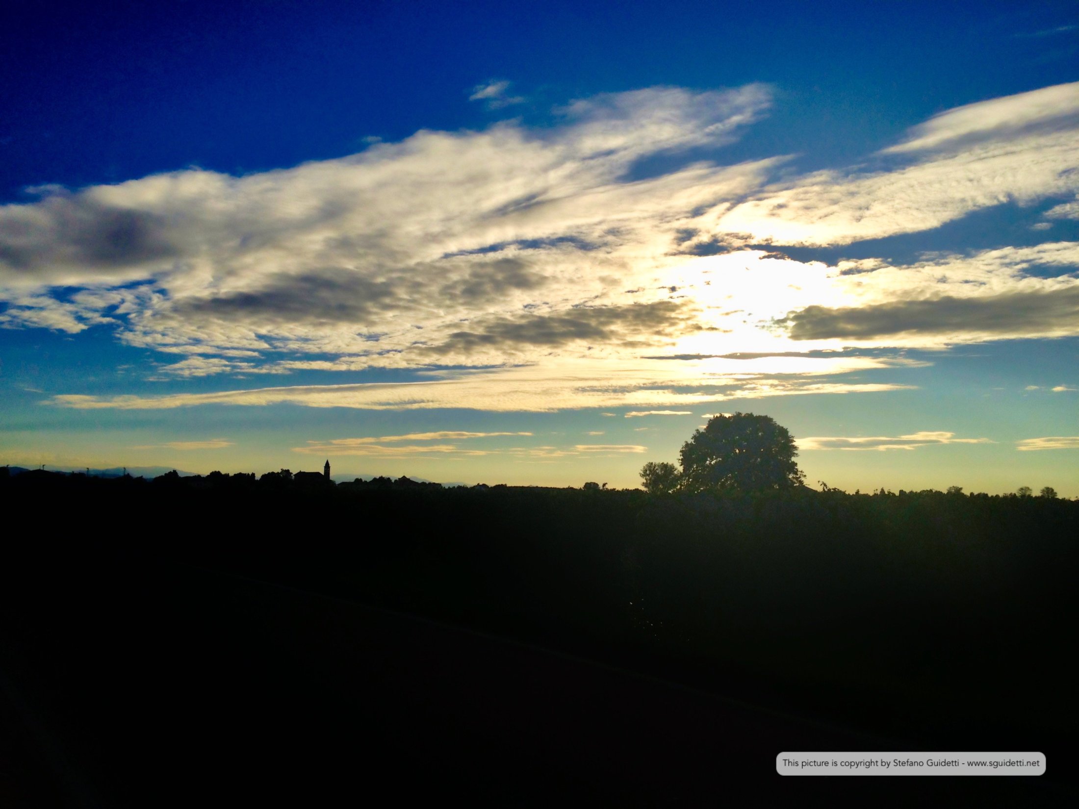 nature_20140901_IMG_1412