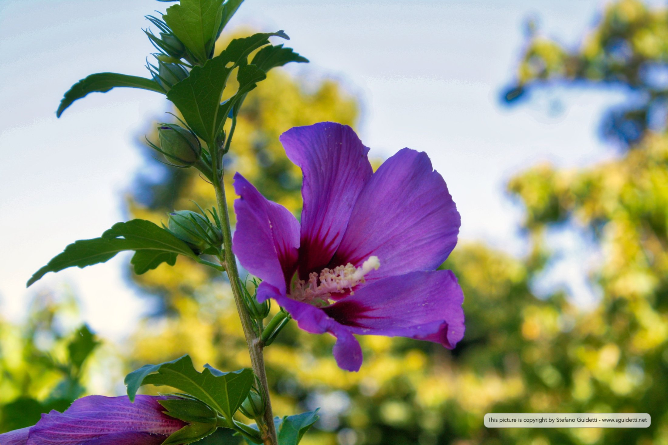 nature_20160808_IMG_0539