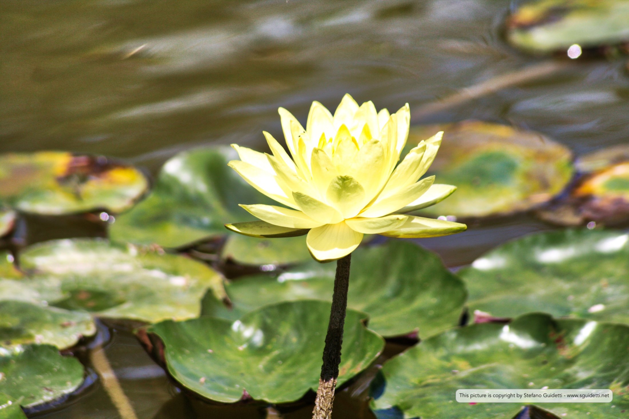 nature_20160808_IMG_0558