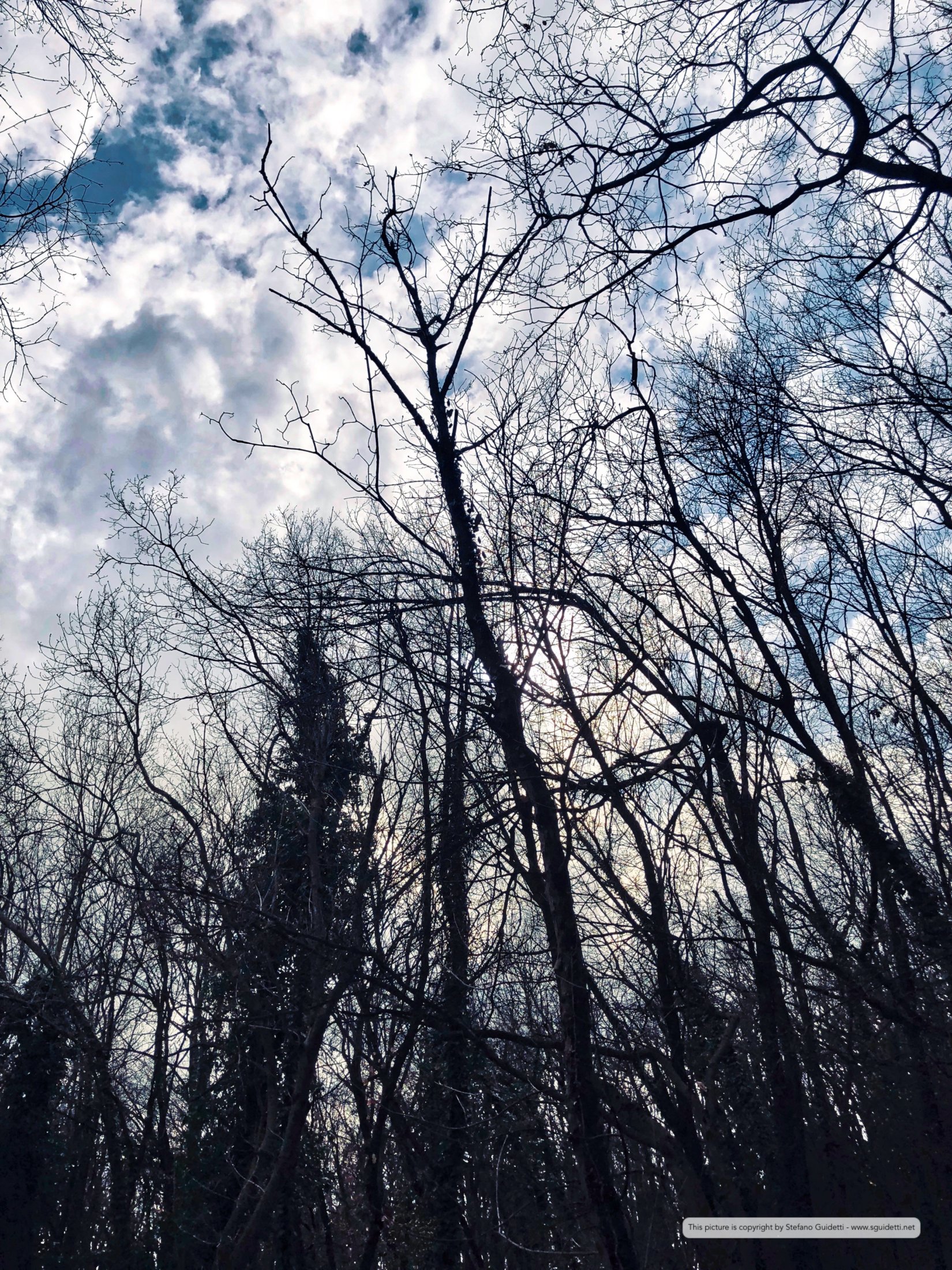 nature_20180402_IMG_0335